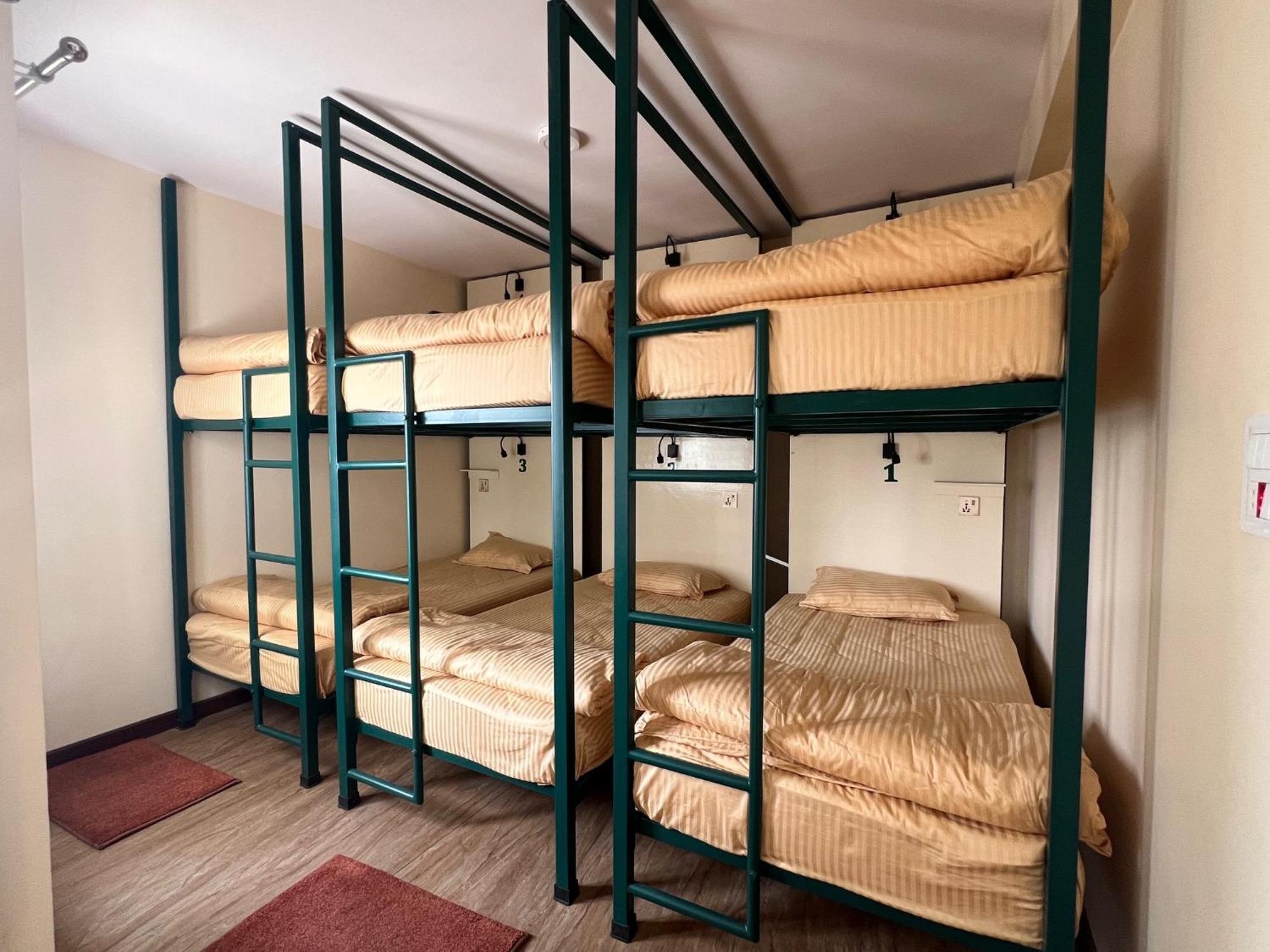 The Sparkling Turtle Backpackers Hostel Kathmandu Exteriör bild