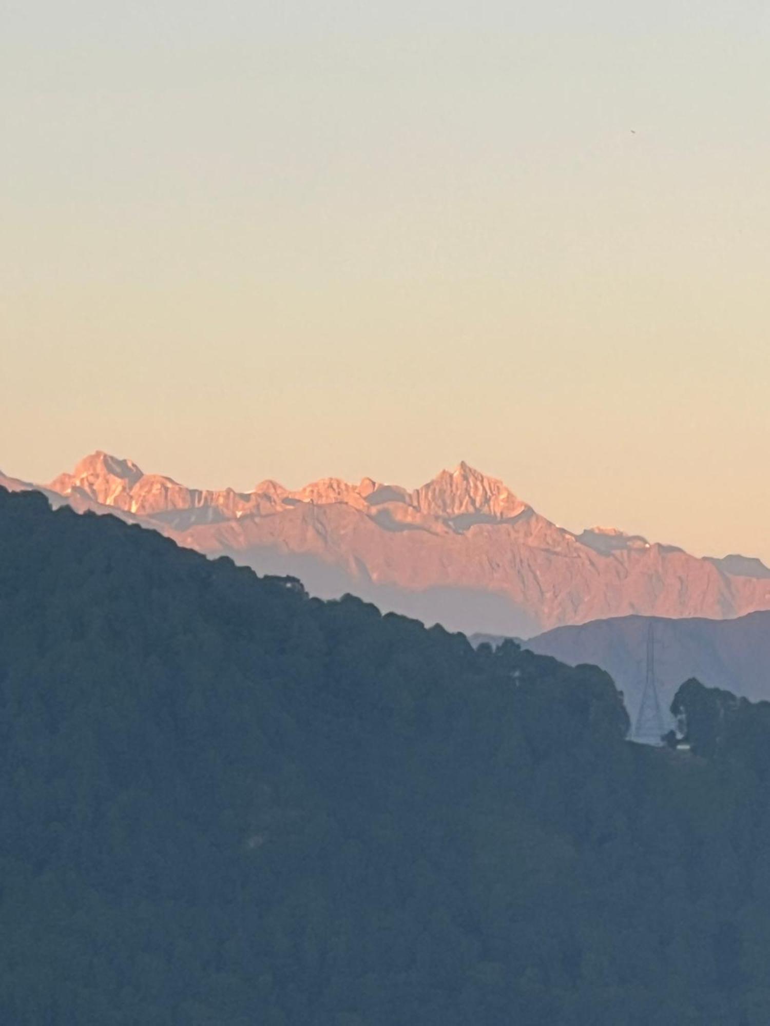 The Sparkling Turtle Backpackers Hostel Kathmandu Exteriör bild
